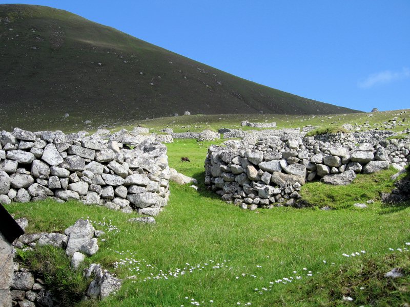 Fields and stores