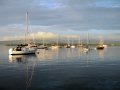 Tobermory gets crowded...